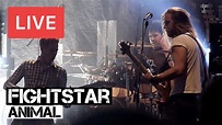 Fightstar | Animal | LIVE at Troxy - YouTube