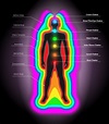 Spiritual Colors: The Difference Between Auras and Chakras - Color Meanings