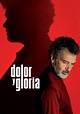 Dolor y gloria - película: Ver online en español