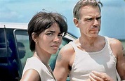 Hot and heavy / Billy Bob Thornton and Halle Berry fall in love in ...