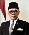 Profil, Biodata dan Biografi Hamengkubuwono IX, Wakil Presiden ...