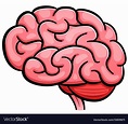 Human brain cartoon isolated Royalty Free Vector Image