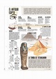 El Antiguo Egipto. Láminas de El Mundo - Didactalia: material educativo