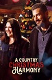 A Country Christmas Harmony Review: Charming Sweet Magnolias Duo ...