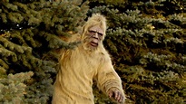 11 Crazy Bigfoot Conspiracy Theories | Mental Floss