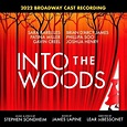 Stephen Sondheim/sara Bareilles/2022 Broadway Cast - Into The Woods ...