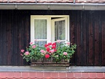 idyllic little window Free Photo Download | FreeImages