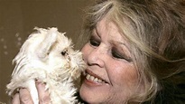 85. Geburtstag: Tierschutz statt Sex-Idol - die Wandlung der Brigitte ...