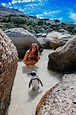 Boulders Beach Guide: Visiting the Penguin Beach in Cape Town, South ...