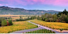 One Week in Sonoma and Napa Valleys - 7 Day Itinerary