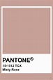Pantone Misty Rose | Pantone colour palettes, Pantone color, Pantone