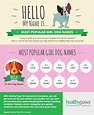 Most Popular Girl Dog Names | Healthy Paws Pet Insurance