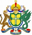 Coat of Arms of Brazil : r/heraldry