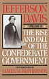 The Rise and Fall of the Confederate Government - Volume II (Esprios ...