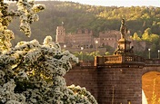 Le château de Heidelberg | tourismus-bw.de