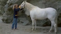 Lightning the White Stallion (1986) | MUBI