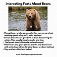 Interesting and fun facts about animals for kids