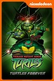 Watch Teenage Mutant Ninja Turtles: Turtles Forever | Prime Video