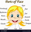 Cartoon child girl vocabulary of face parts Vector Image