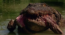 Beste Krokodilfilme | 13 Top Alligator Filme aller Zeiten - Filmliste
