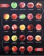 Chart Types Of Apples