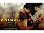 The movie 'Animal': Everything you need to know about Ranbir Kapoor's ...