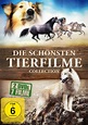 Gewinnspiel: Die schönsten Tierfilme Collection – Hunde.de