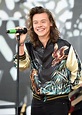 August 2015 | Harry Styles Throughout the Years in Pictures | POPSUGAR ...