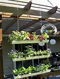 Cómo hacer jardín colgante - Tozapping.com