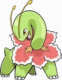 Meganium | Pokémon Wiki | FANDOM powered by Wikia