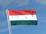 Hungary Flag for Sale - Buy online at Royal-Flags