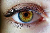 Identifican 50 nuevos genes que intervienen en el color de los ojos - BMN