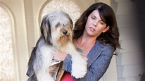 Meet Paul Anka the Dog, Back for the Gilmore Girls Revival | The Dog ...