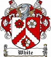 Family Crests Download Royalty free photo MacGilmore Family Crest ...