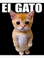 Póster «El Gato Meme Sad Crying Cat Munchkin Kitty Meme Trendy» de ...