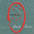 Bush Tetras - Beauty Lies (1997, CD) | Discogs