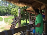 Jacksonville Zoo and Gardens - Jacksonville, FL - Kid friendly acti ...