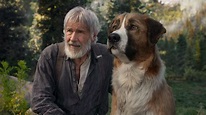 Ruf der Wildnis (2020) | Film, Trailer, Kritik