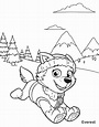Everest From Paw Patrol - Free Colouring Pages