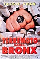 La locandina di Terremoto nel Bronx: 186756 - Movieplayer.it