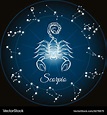 Zodiac sign scorpio Royalty Free Vector Image - VectorStock