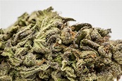 Candy Skunk Strain of Marijuana | Weed | Cannabis | Herb | Herb