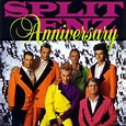 [Review] Split Enz: Anniversary (1994) - Progrography