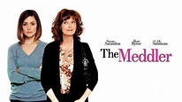The Meddler (2016) - Sfondi — The Movie Database (TMDB)