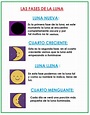 Ciencias Naturales: Las fases de la luna