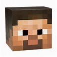 JINX Minecraft Steve Box Head V2 - Walmart.com