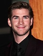 Liam Hemsworth Picture 65 - People's Choice Awards 2013 - Press Room