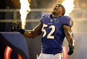 Ray Lewis of Baltimore Ravens to retire after NFL playoffs - masslive.com