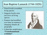 PPT - Jean Baptiste Lamarck (1744-1829): PowerPoint Presentation, free ...