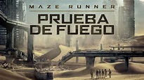 Ver Maze Runner: Prueba De Fuego | Película completa | Disney+
